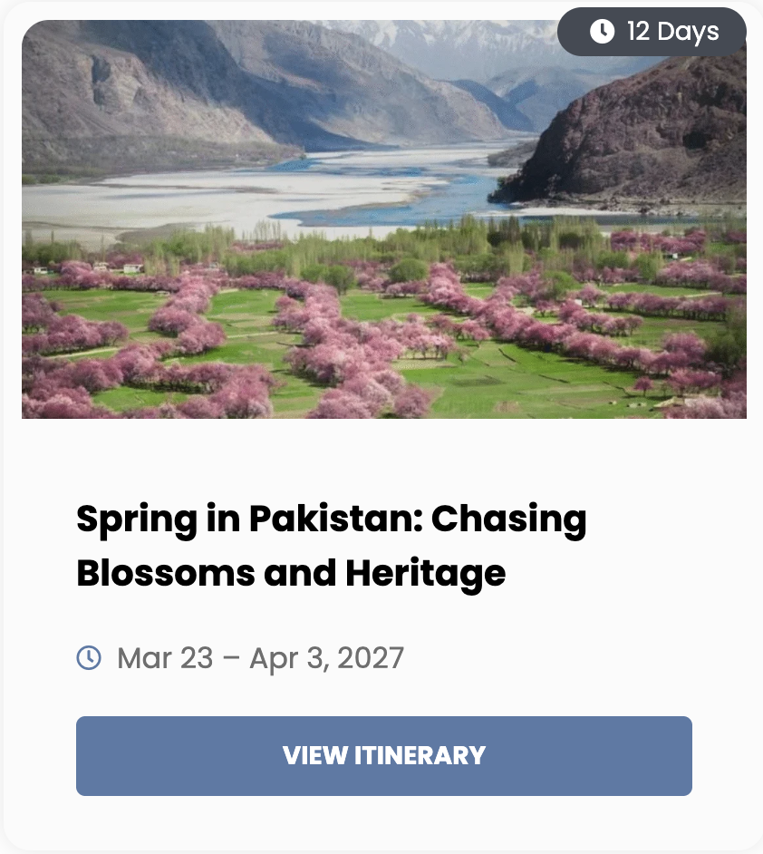 Pakistan with The Hybrid Tours